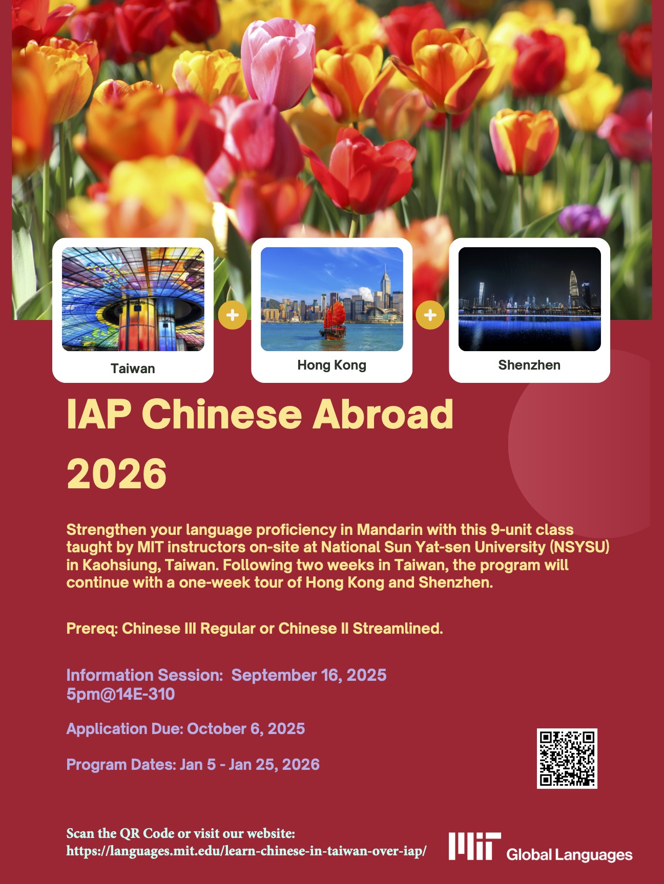 Chinese language visual data 7